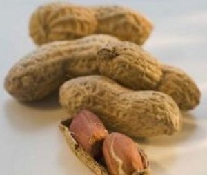 Kacang Laku Keras Saat Piala Dunia