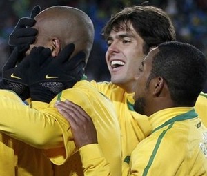 Buah Kesabaran Brasil