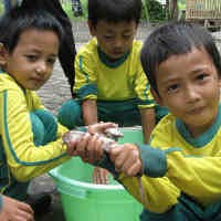 Kenalkan Siswa Tentang Afrika dengan Ikan Lele