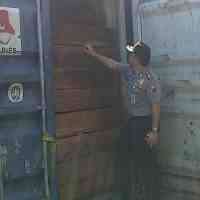 5 Kontainer Kayu Ilegal Diamankan KP3 Tanjung Perak
