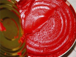 Tomat Pasta