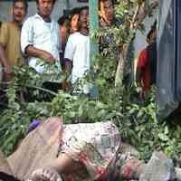 Bus Sumber Kencono Seruduk Rumah, 1 Tewas & 4 Orang Luka