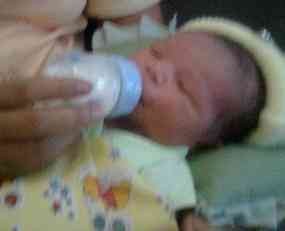 Pelaku Menyerahkan Diri ke Polisi 