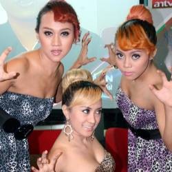 Sengketa Nama Trio Macan, Munculkan Tiga Macan