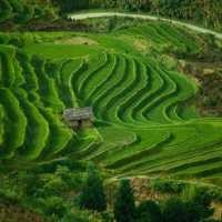 2011 Pemprov Jabar Benahi Irigasi