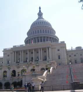 Disengat Terik Matahari di Washington DC