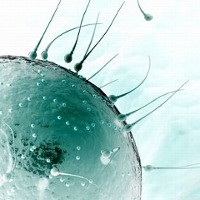 Fakta-fakta Aneh Seputar Air Mani Pria