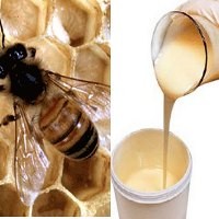 Apa Untungnya Minum Royal Jelly?