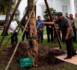 SBY Tanam Pohon