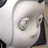 RUBI, Robot Guru yang Siap Mengajar