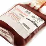 Donor Darah Turun 5 Persen Selama Piala Dunia