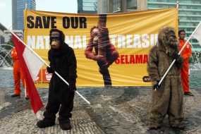 Aktivis Lingkungan Desak Pemerintah Seriusi Krisis Orangutan