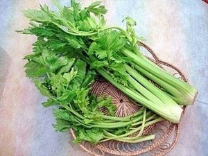 Seledri Baik untuk Hipertensi 