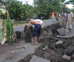 Jalan Rusak Parah, Warga Pasuruan Tanam Pisang