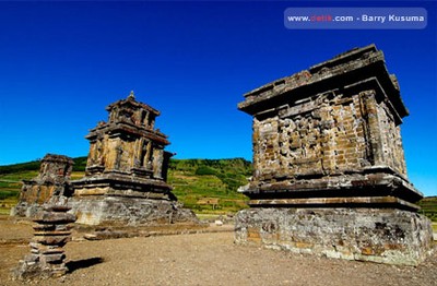 Damai Dieng