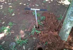 Cegah Banjir dengan Lubang Biopori
