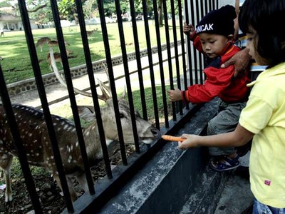 Berlibur di Kebun Raya Bogor