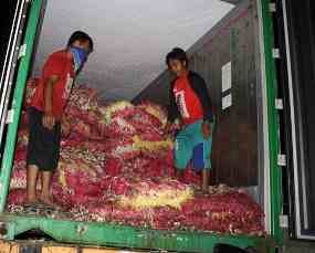Pemusnahan 15 Kontainer Bawang Merah Diprotes Warga