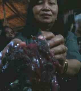 Jelang Ramadan, Peredaran Daging Basi Ditemukan