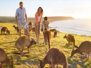 Jumlah Turis Muslim ke Australia Meningkat