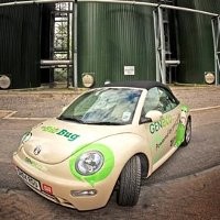 VW Beetle Lari Pakai Tinja