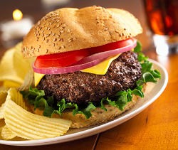 Apa itu Burger?