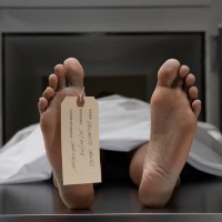 Mayat yang Dikremasi Kini Tak perlu Dibakar