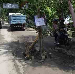 Penambang Pasir Liar Marak, Warga Tanam Pohon Pisang