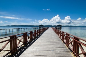 Papua Barat