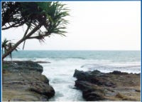 Pantai Cihara