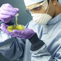 5 Jenis Kuman yang Kebal Antibiotik 