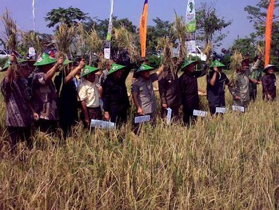 Menteri Turun ke Sawah