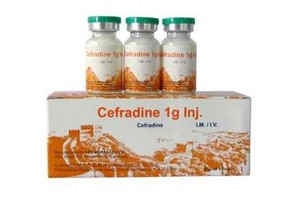 Cefradine