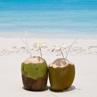 Air Kelapa Mengganti Cairan yang Hilang Saat Puasa