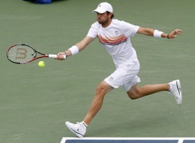 Kandaskan Roddick, Fish ke Final