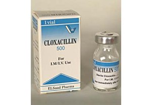 Cloxacillin