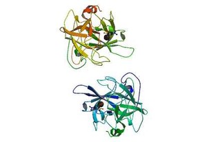 Anistreplase