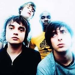 Penonton Tak Terkendali, Konser The Libertines Distop
