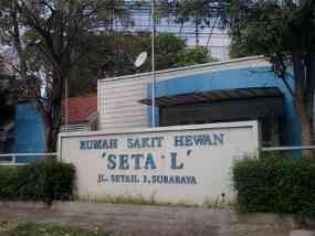 KBS Buka Rumah Penitipan Hewan Selama Lebaran