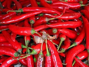 Cabai Merah Si Primadona Ramadan
