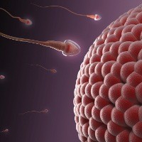 Faqat rus porno filmlarini onlayn tomosha qiling