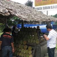 Pertama ke Sumatera, Disambut Durian Medan