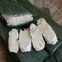 Yoghurt Tempe Mampu Turunkan Kerusakan Hati
