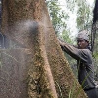 Cagar Budaya Kurang Terurus Boleh Dikomersialkan 