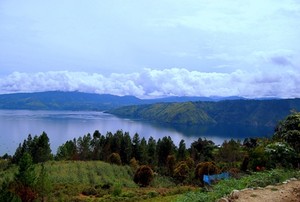 Monyet Sibaganding Turun Gunung