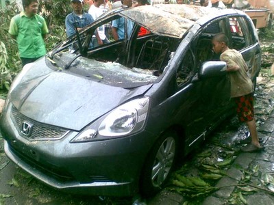Pohon Tersambar Petir Timpa Mobil