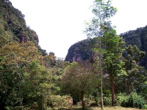 Bermalam di Tengah Lembah Harau