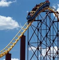 Penelitian Roller Coaster dan Jenggot yang Mengejutkan