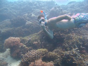 Menjangan, Pesona Keindahan Bali Barat