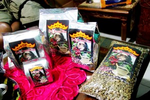 Menikmati Kopi Luwak Khas Kota Liwa